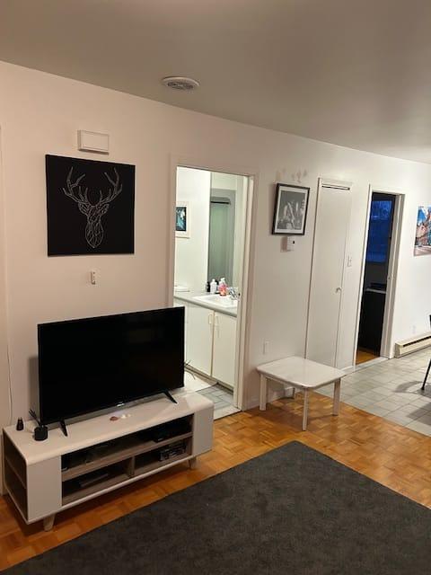 PROMOTION !!! Grand 4 1/2 Métro Joliette | 3044325