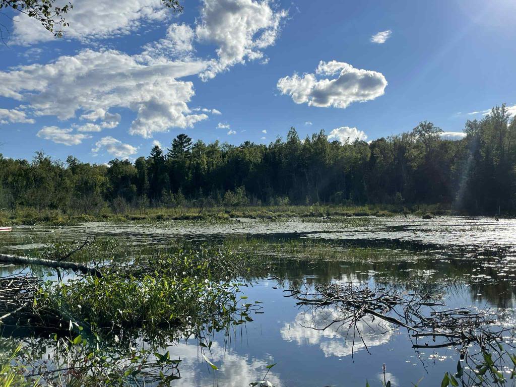 Terrain Lac Long - Blue Sea | 3044570