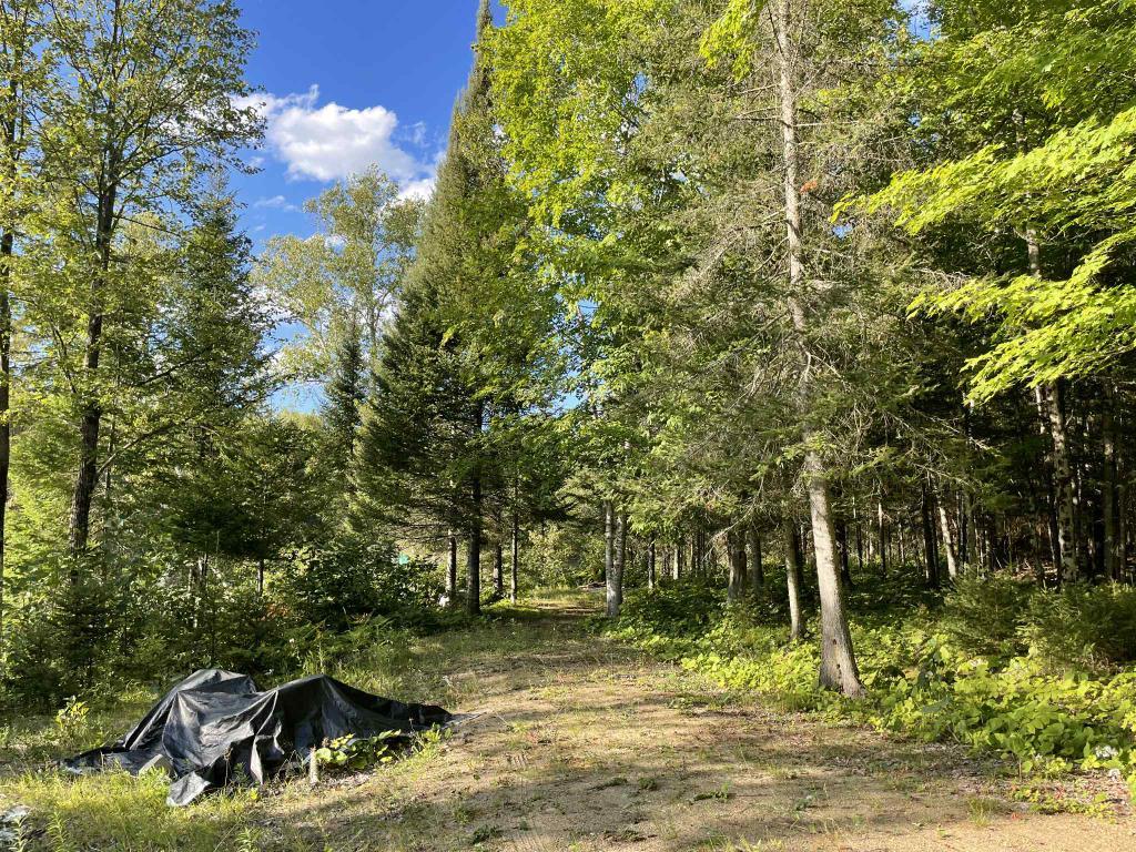 Terrain Lac Long - Blue Sea | 3044570