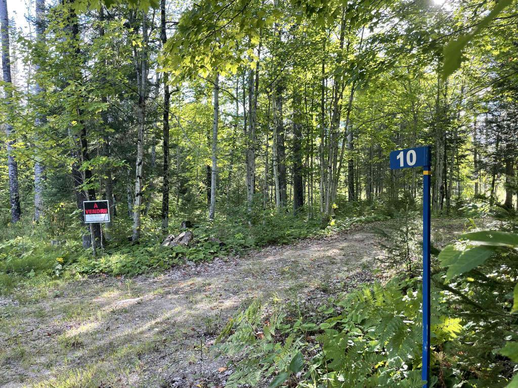 Terrain Lac Long - Blue Sea | 3044570