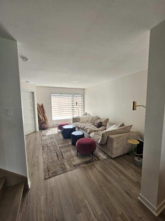 Semi-Detached new build house for rent | 3044969