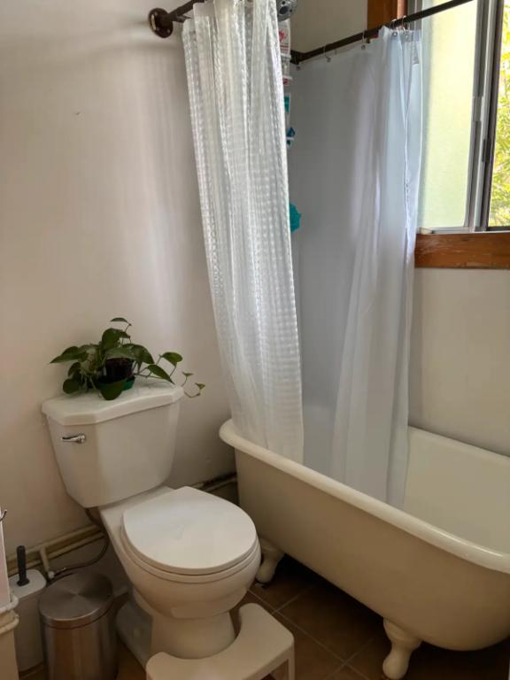 CHARMANT 3 1/2 À LOUER À PIED DU MARCHÉ ET MÉTRO JEAN-TALON | 3046274