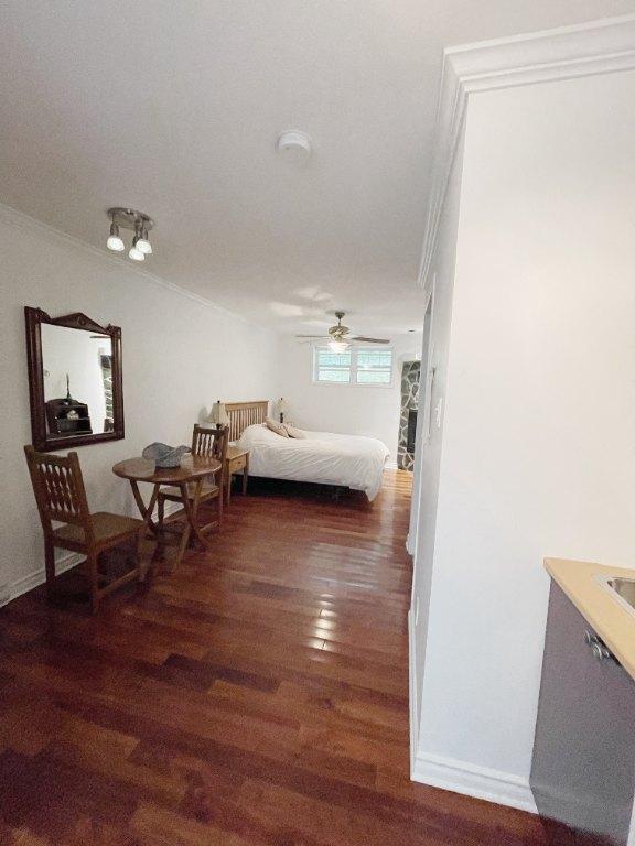 Studio tout inclus | 3046297