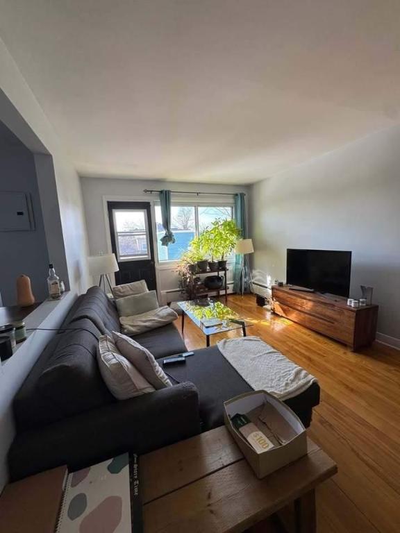 1 CH - 1 SDB - Montréal - $1,350 /mo | 3046302