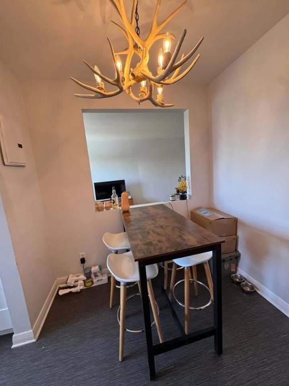 1 CH - 1 SDB - Montréal - $1,350 /mo | 3046302