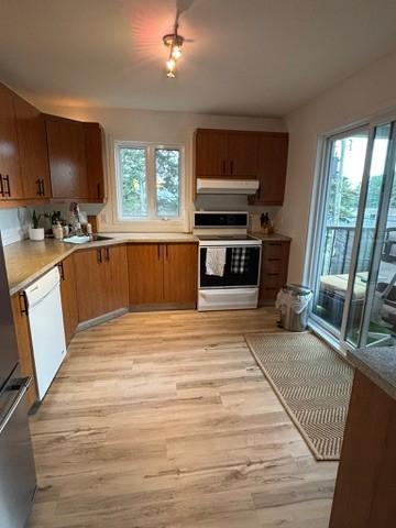 4½ + espace bureau avec fenêtre ,1 100 pi², 1 385,00 $ - COUR ARRIÈRE PRIVE et AMÉNAGÉ, entrée indépendante | 3046691
