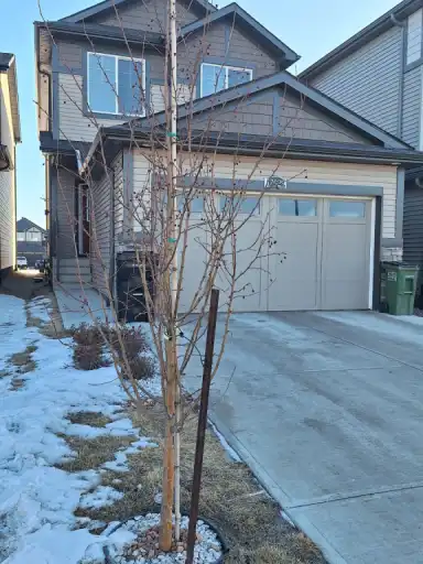 A new cozy 1-bedroom legal basement suite with direct access to Antony Hendey. | 17929 70A Street Northwest, Edmonton | 3046954