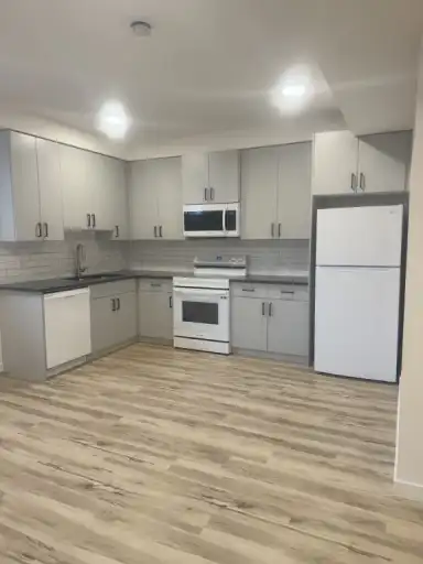 NEW BSMT SUITE  | 1 BED & 1 BATH | TREE LINED STREET IN HIGH PARK! | BSMT 15104-110 Avenue NW, Edmonton | 3046969