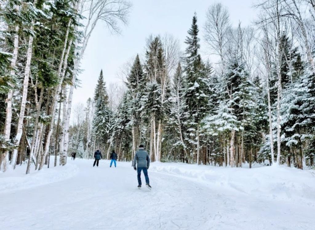 À louer – Magnifique 4 ½ neuf à Saint-Donat | 3047034