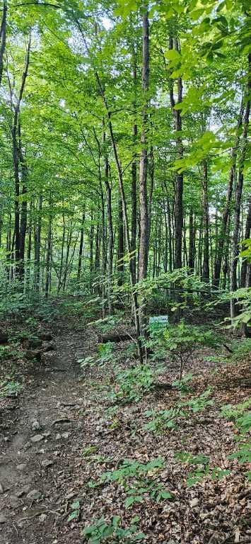 📍 21$/pi². Terrain à vendre – Beaconsfield (Boisé Angell) Île de Montréal 166 000$ | 3047293