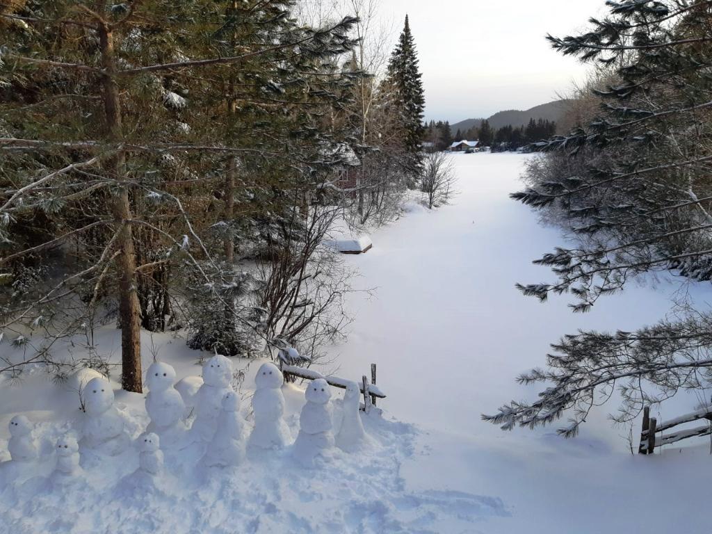 Très beau chalet a louer au bord de l’eau. À 1h30 de Montréal! | 3047310