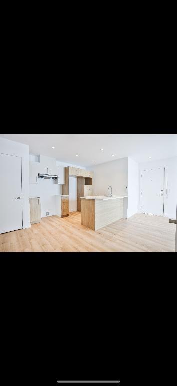 Appartement 1 chambre et 1 salle de bain | 3048447