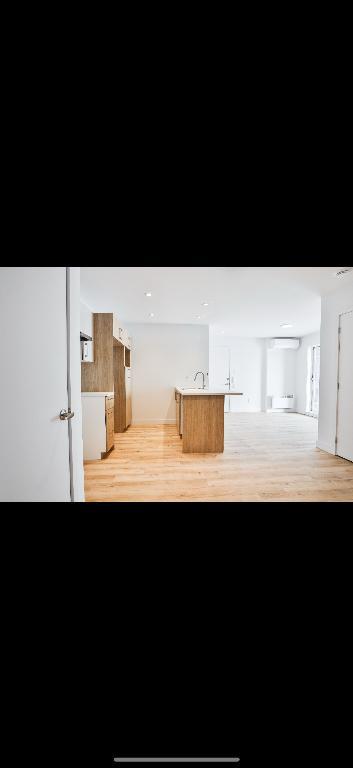 Appartement 1 chambre et 1 salle de bain | 3048447