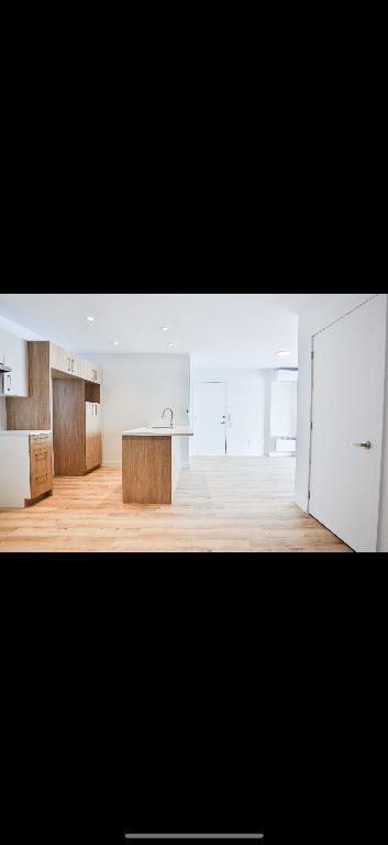 Appartement 1 chambre et 1 salle de bain | 3048447