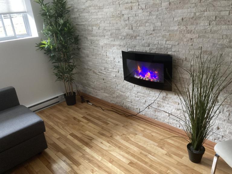 3 1/2 - Montréal (Hochelaga / Maisonneuve) - 1 399 $/mois | 3048460