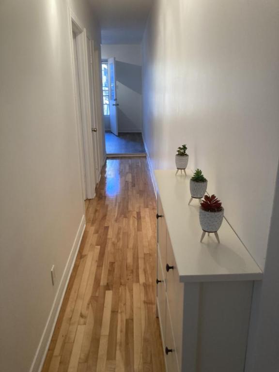 3 1/2 - Montréal (Hochelaga / Maisonneuve) - 1 399 $/mois | 3048460