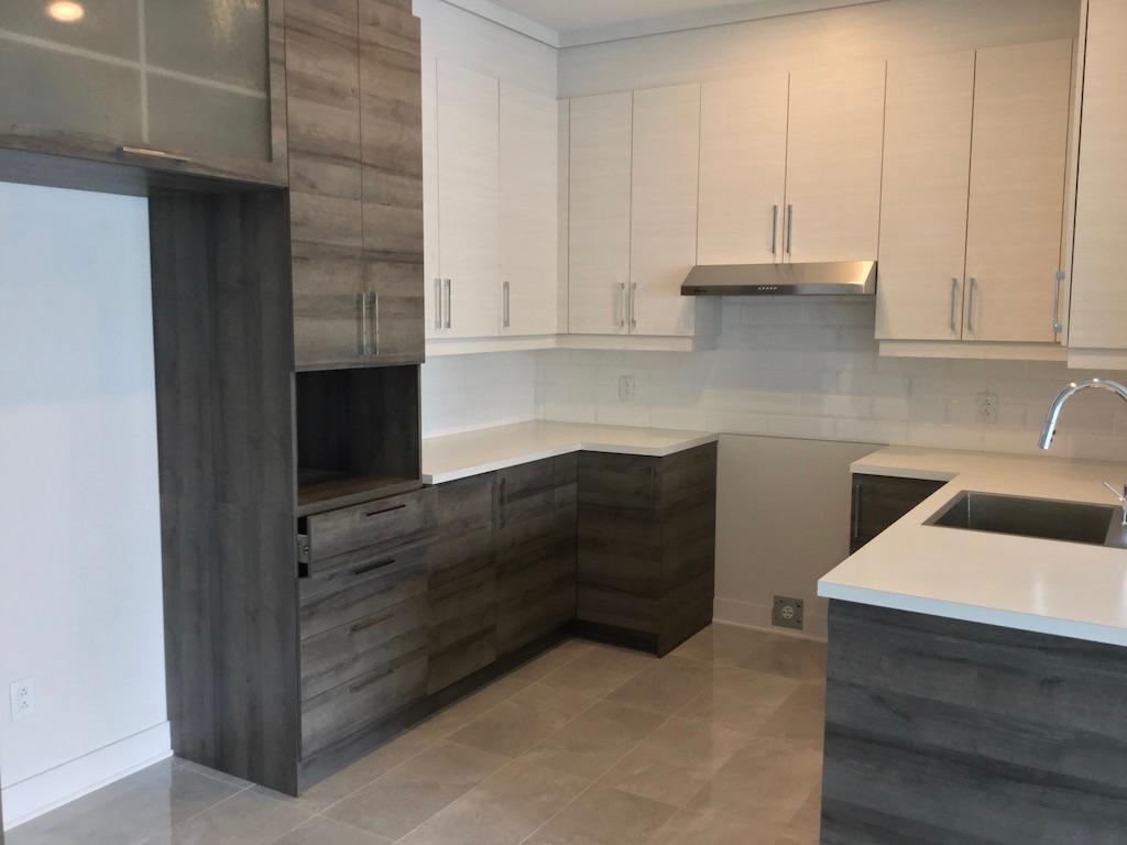 App/condo 4 1/2 Mercier Hochelaga Maisonneuve (Tétreaultville) | 3048809