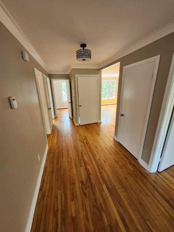 Appartement a Louer 5 1/2 (Montreal) | 3048821