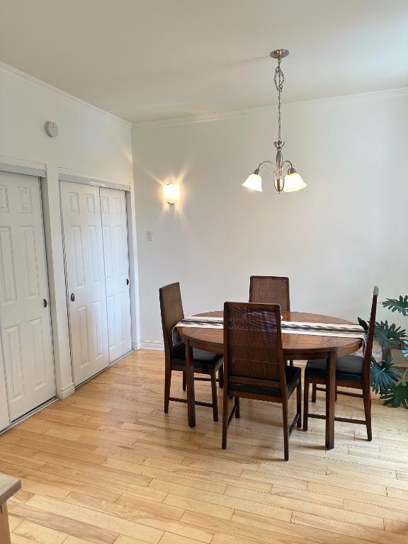 Beau 5 ½ dispo le 1er novembre sur la plus belle rue à Verdun! | 3048824