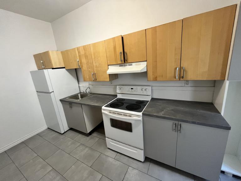 8 1/2 - Montréal (Ville-Marie (Centre-ville)) - 3 495 $/mois | 3049108