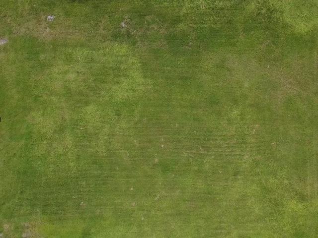 Terrain | 3049119
