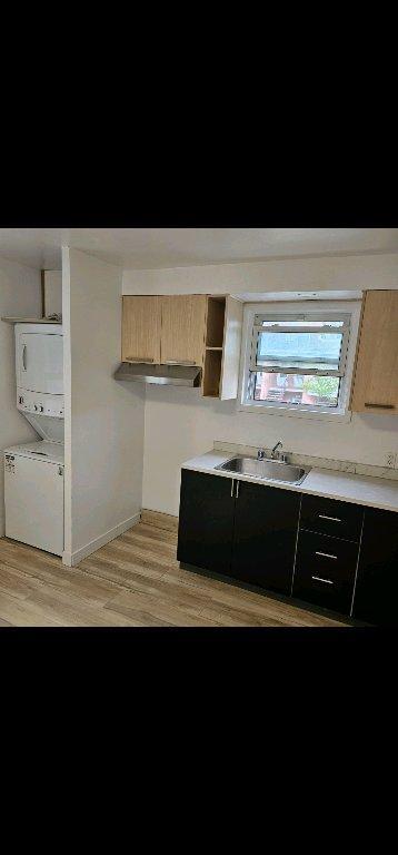 MAGNIFIQUE 6 1/2 TOUT RÉNOVÉ AVEC COUR PRIVÉE | 3052236