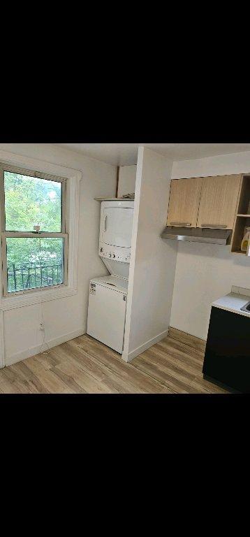 MAGNIFIQUE 6 1/2 TOUT RÉNOVÉ AVEC COUR PRIVÉE | 3052236