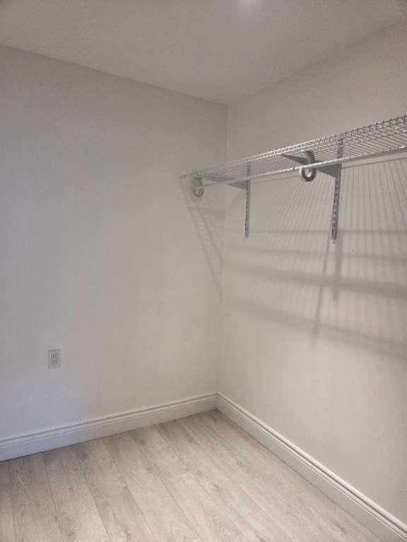 Beau 3 et demi renove rosemont | 3053905