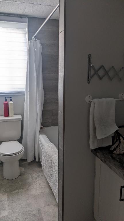 Beau grand 4 1/2 secteur hopital | 3053908