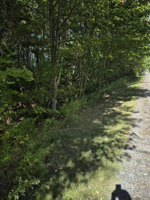 Terrain avec le droit construire 68 000$ | 3101180