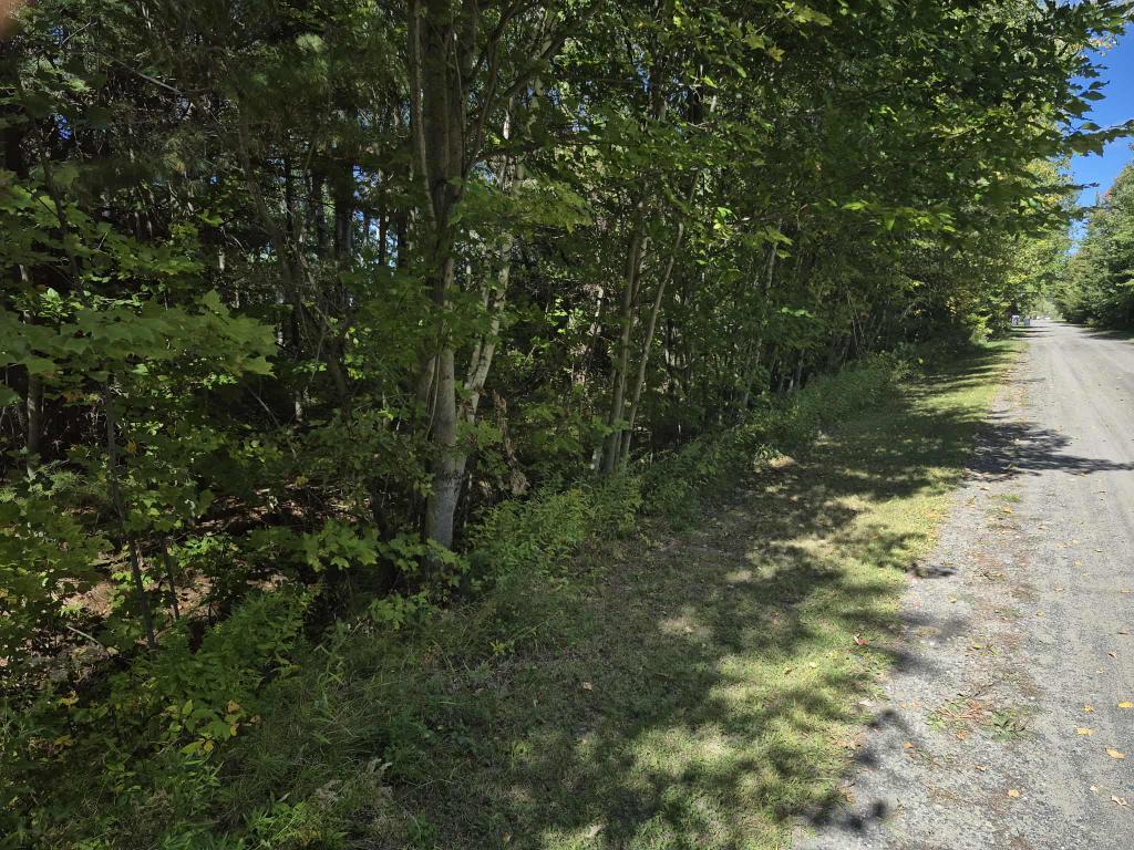 Terrain avec le droit construire 68 000$ | 3101180