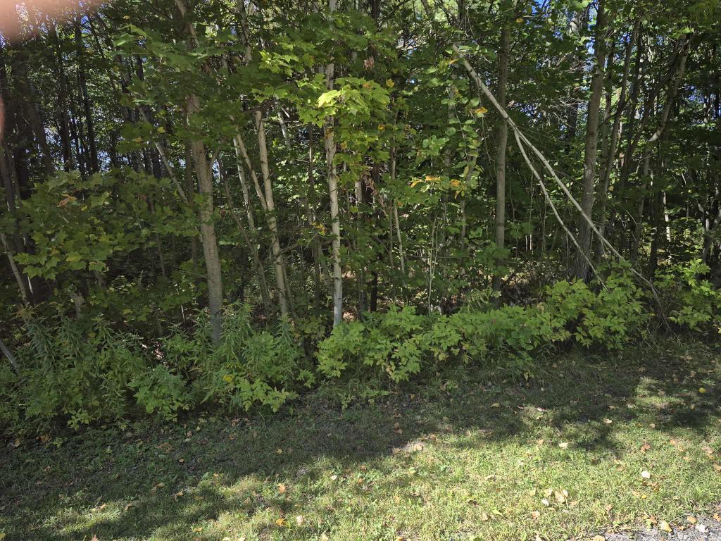 Terrain avec le droit construire 68 000$ | 3101180