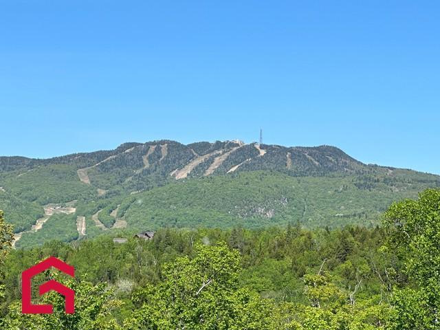 Terrain | 3085393