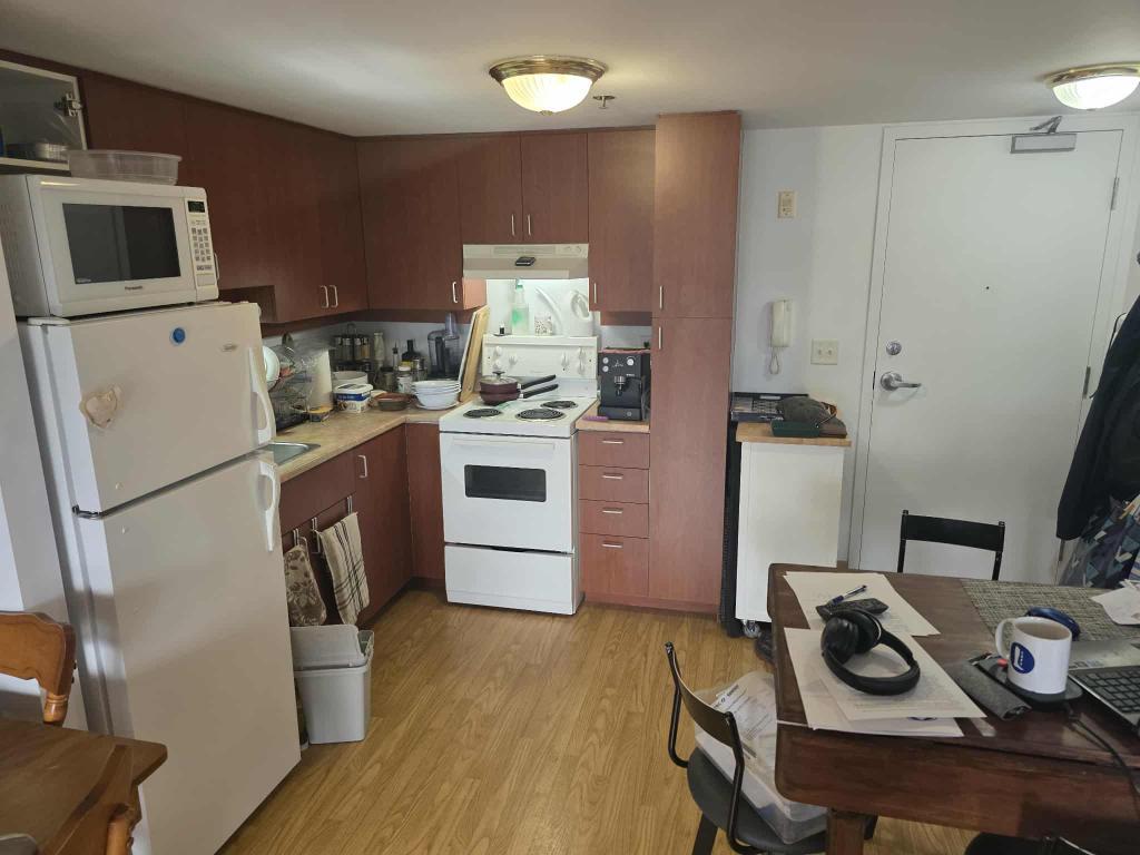 Superbe 3 1/2 dans l'écocquartier de la Pointe aux Lièvres | 3109730