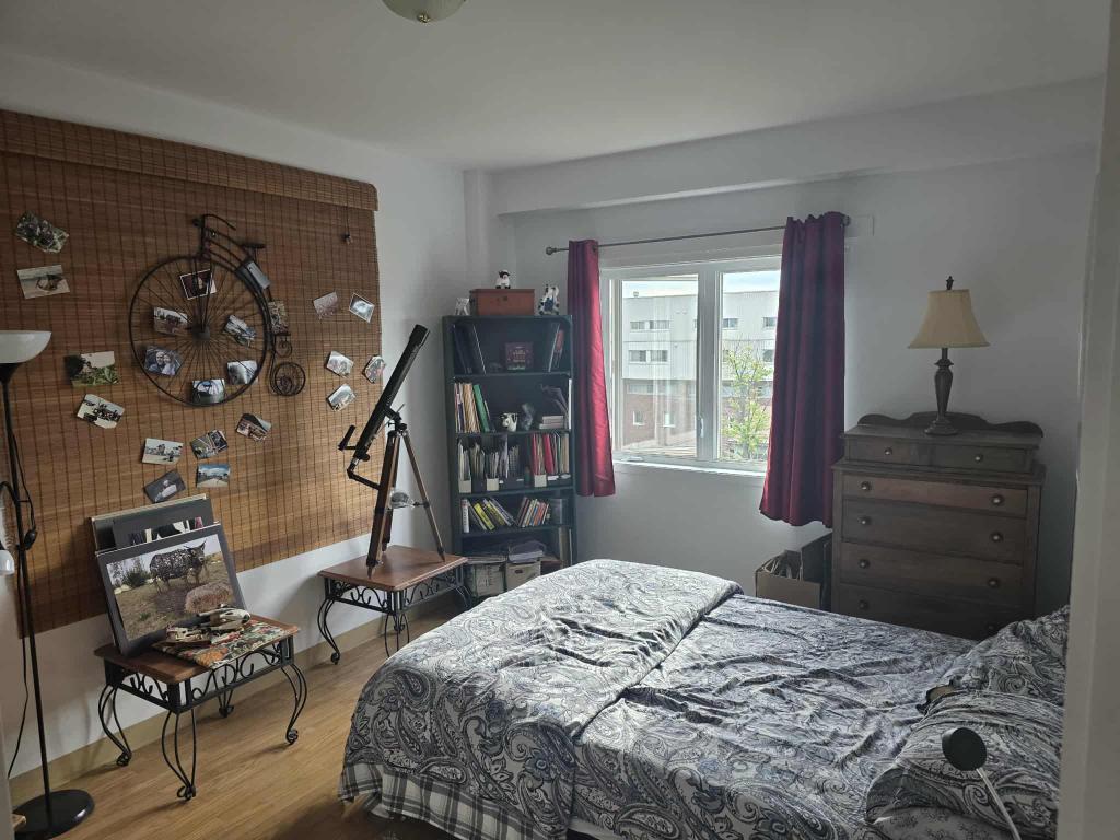 Superbe 3 1/2 dans l'écocquartier de la Pointe aux Lièvres | 3109730