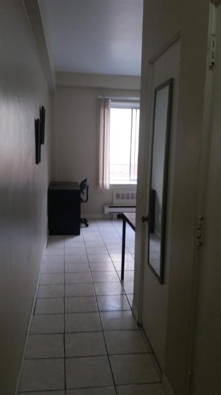 Situé au cœur du Ghetto McGill, super studio-loft rénové | 3087041