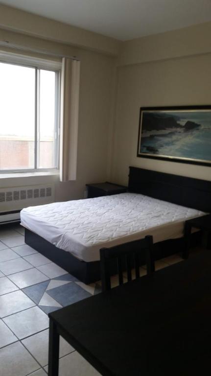 Situé au cœur du Ghetto McGill, super studio-loft rénové | 3087041