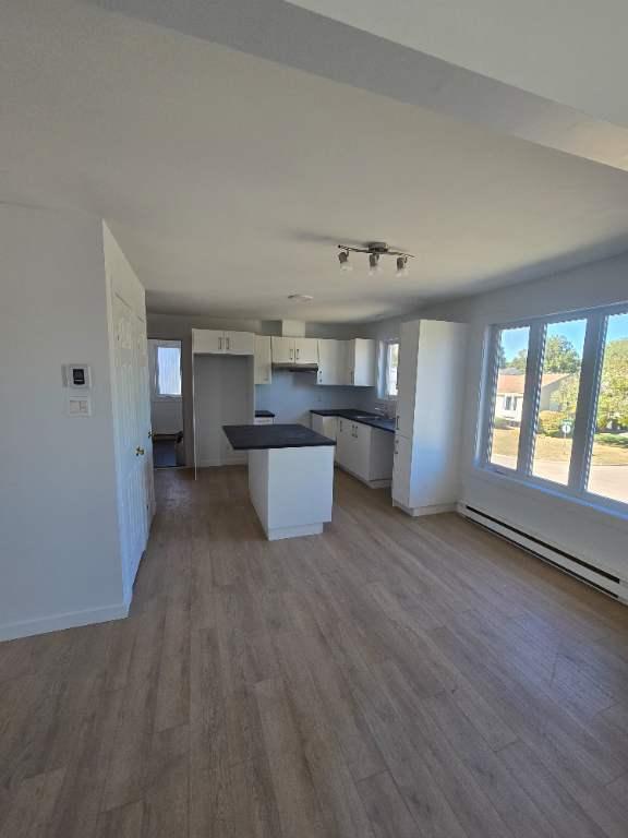 Logement 4 1/2 fraichement rénové à Beauport | 3087289