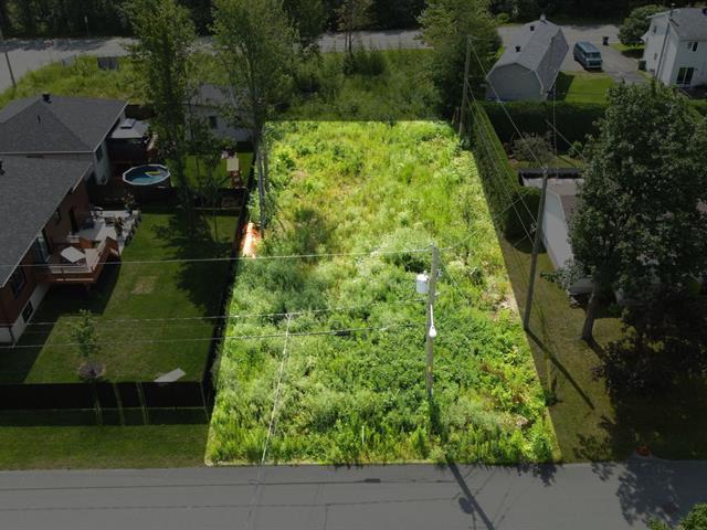 Terrain | 3059683