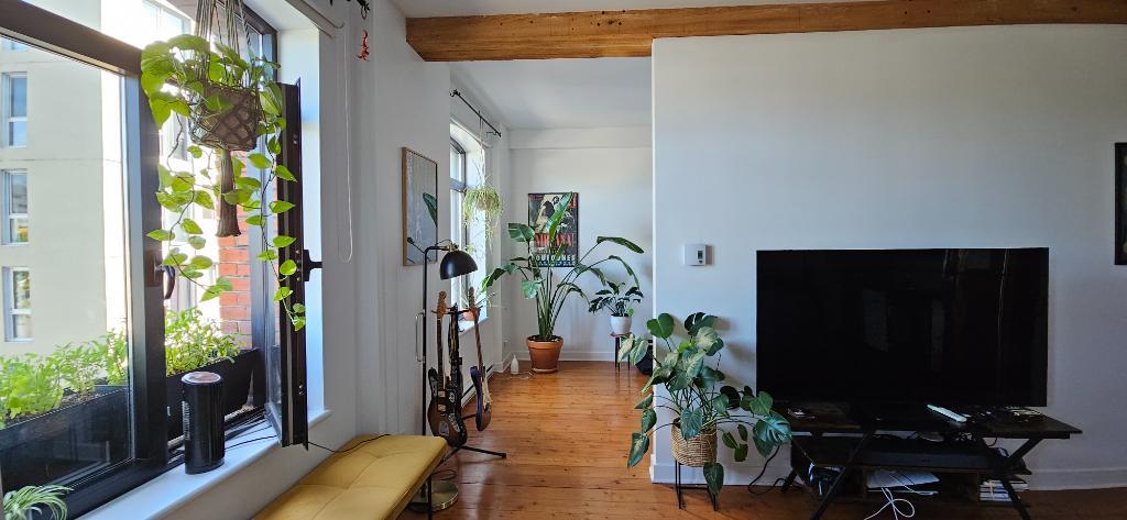 Loft Lowney I Griffintown ( 702pc) | 3061075