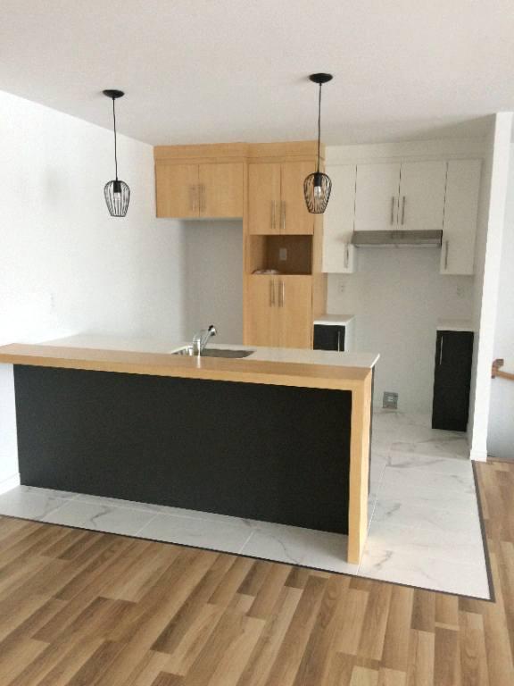 Superbe logement 4 1/2 à St-Nicolas, 1ier étage, climatisé, 2 STATIONNEMENTS EXTÉRIEURS INCLUS, LIBRE LE 1ier décembre 2025. | 3067072