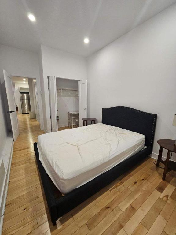 2 CH - 1 SDB - Montréal - $1,560 /mo | 3063428