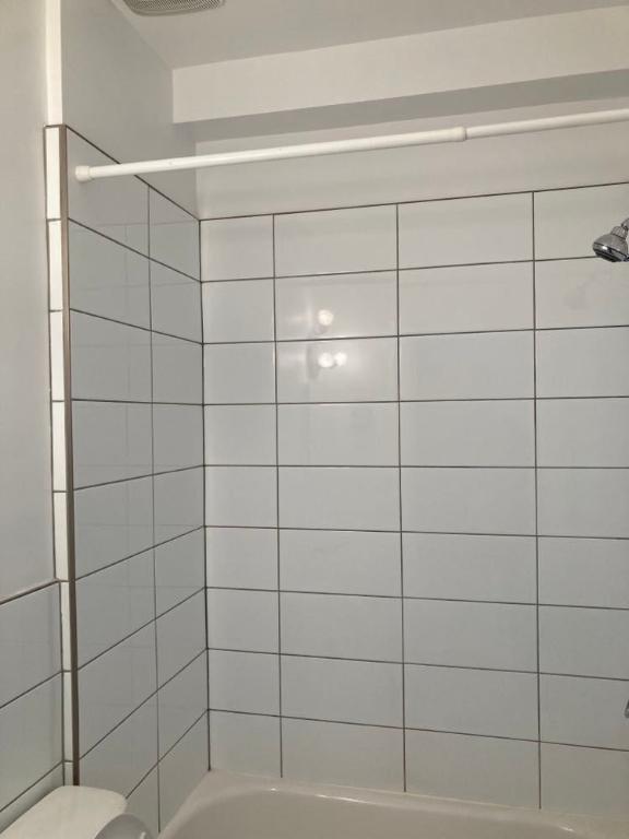 Grand 5 ½, 3 BR, 2ieme,Métro Préfontaine+poss parking libre immmediatement | 3098489