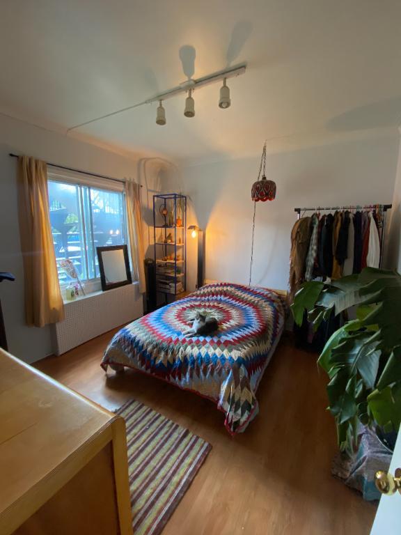 7 chambres à coucher 2 salles de bain | 3064063