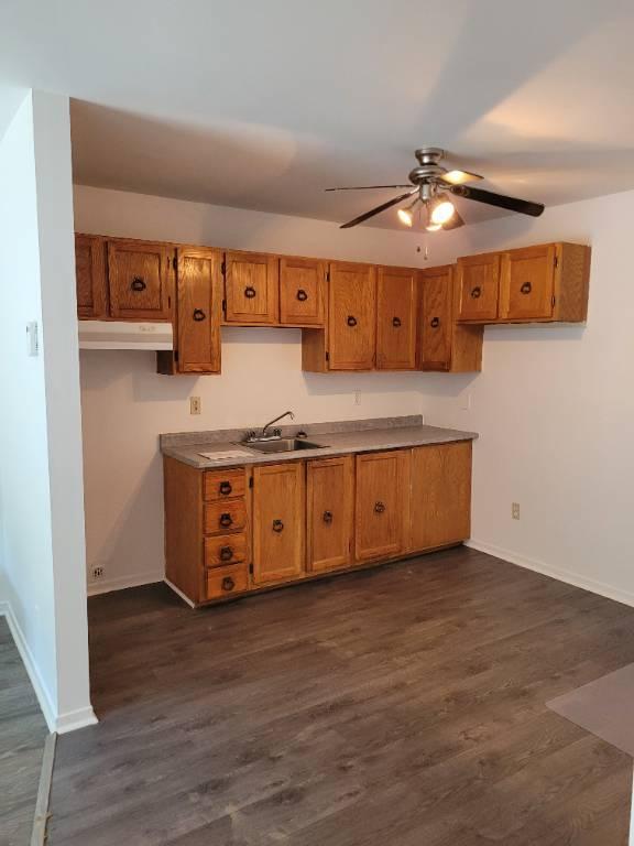 logement 3 1/2 au 2e- 3e étages 244 Denison O 870$- 885$ | 3064903