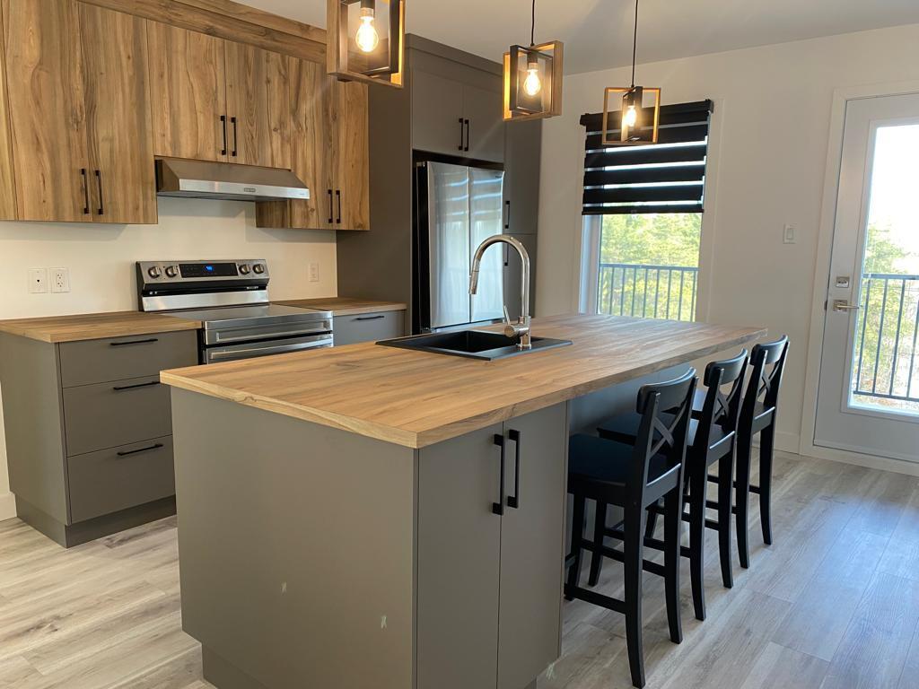 5-1/2 SPACIEUX ET MODERNE AVEC GARAGE | 3065313
