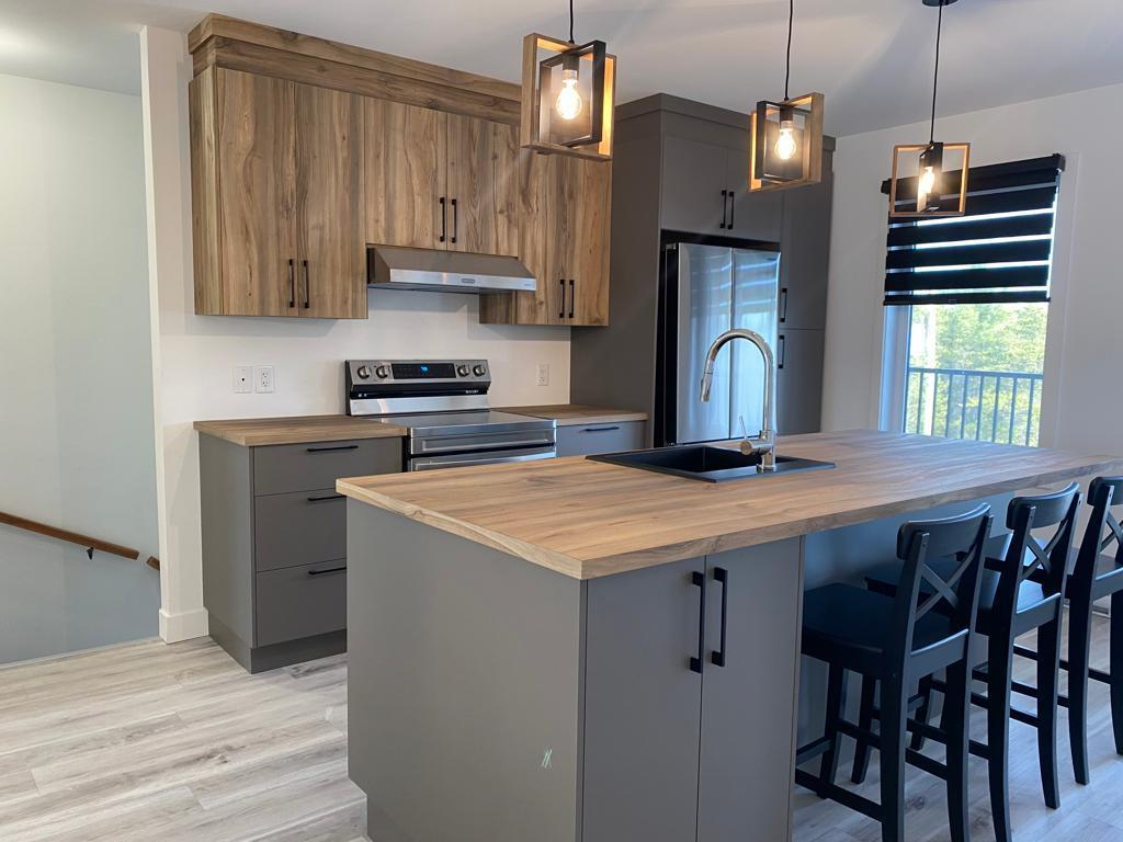 5-1/2 SPACIEUX ET MODERNE AVEC GARAGE | 3065313