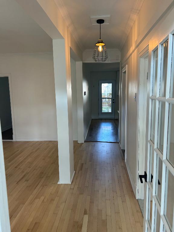 Très beau logement 4 1/2 près de promenade Bellerive! | 3084299