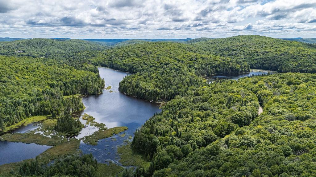 Laurentides, grand terrain de 3.8 acres, bord de l'eau à Sainte-Agathe-des-Monts au Lac Brière, près du parc Régional | 3065633