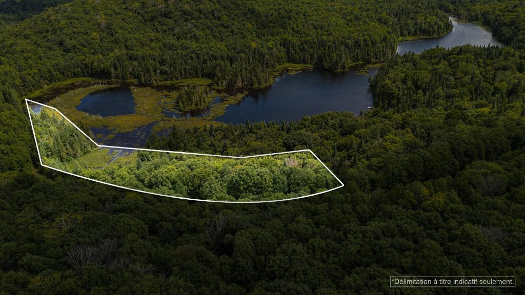Laurentides, grand terrain de 3.8 acres, bord de l'eau à Sainte-Agathe-des-Monts au Lac Brière, près du parc Régional | 3065633